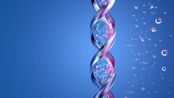 Dog DNA test report interface with pet health DNA insights dashboard preview