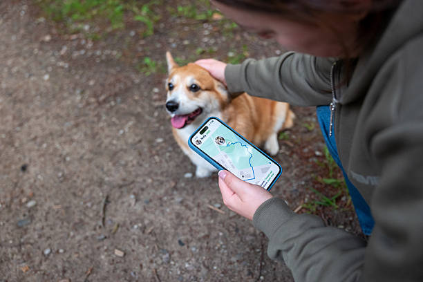 DNA powered activity tracking